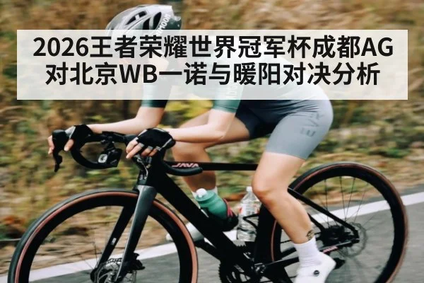 2026王者荣耀世界冠军杯成都AG对北京WB一诺与暖阳对决分析